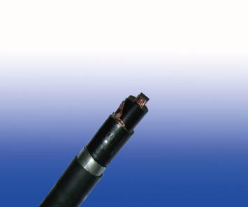 600/1000V XLPE絕緣,PVC護(hù)套,雙鋼帶鎧裝電力纜 (3芯)